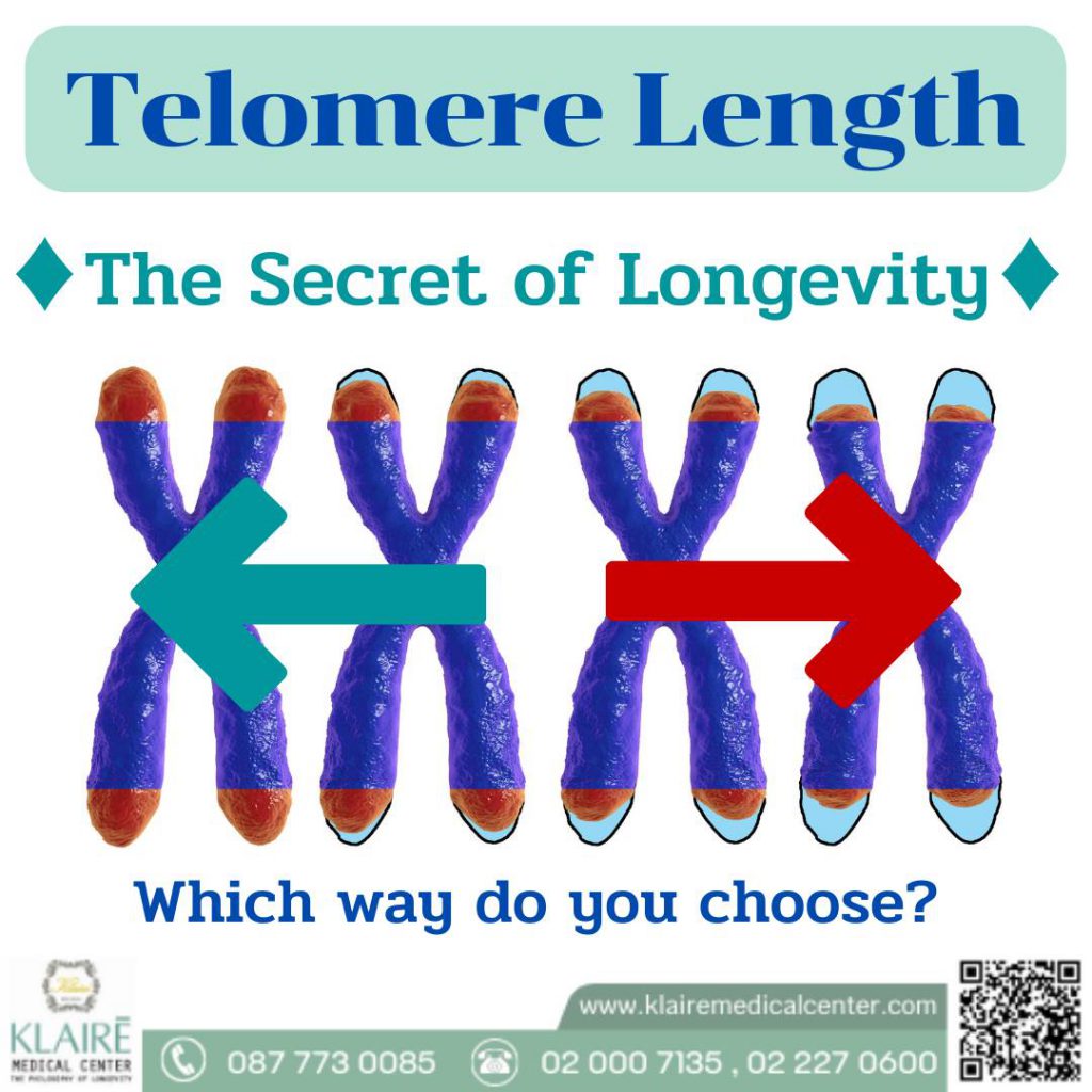 Telomere and aging